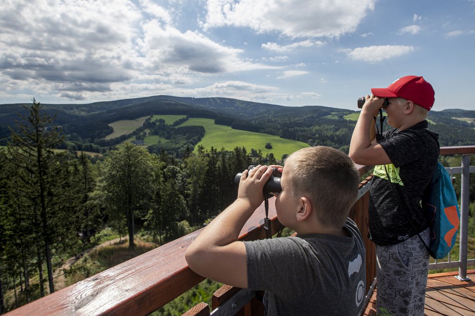 Rozhledna v Olešnici v Orlických horách.