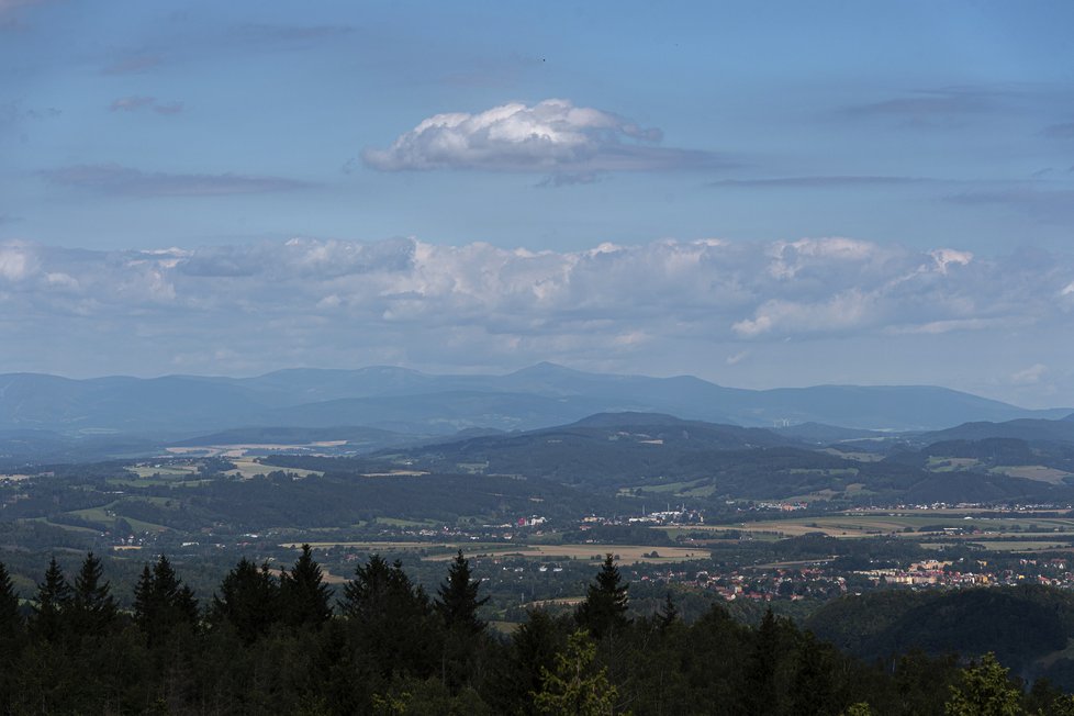 Rozhledna v Olešnici v Orlických horách.