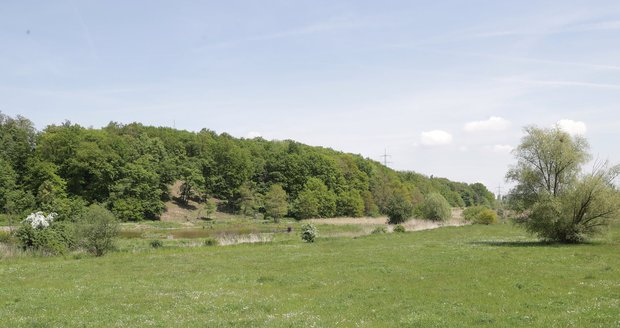 Oblast Čihadel na Černém Mostě je v současnosti neupravená. V budoucnu tu má vzniknout nová relaxační zóna.