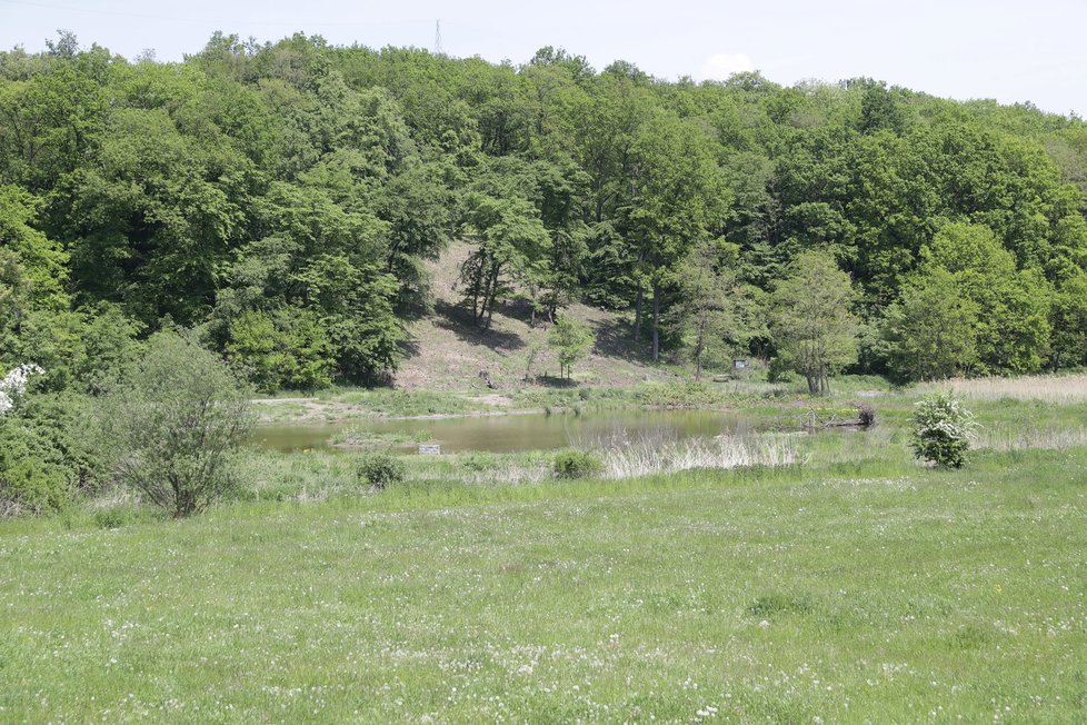 Oblast Čihadel na Černém Mostě je v současnosti neupravená. V budoucnu tu má vzniknout nová relaxační zóna.