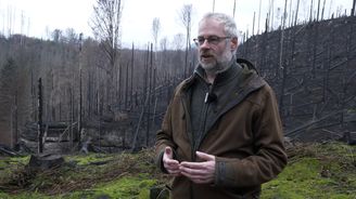 Nový začátek v Českém Švýcarsku. Jak vypadá národní park třičtvrtě roku po ničivých požárech? 