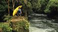 Oblíbená řeka Kaituna u Rotoruy