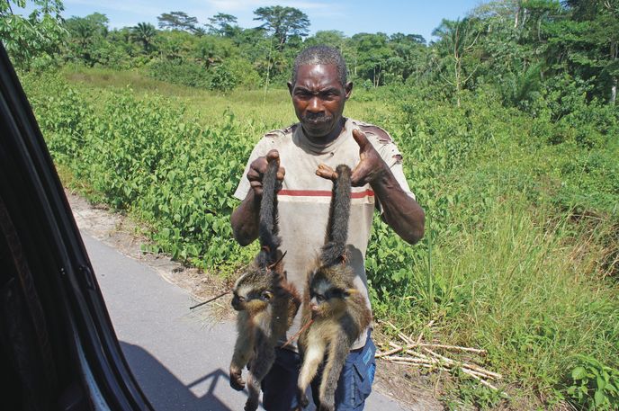 Pytlák prodávající mrtvé opice, Kongo