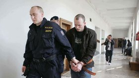 Policie vede k soudu Vladimíra Brandejse.