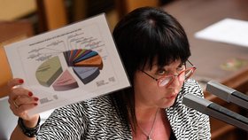 Projednávání státního rozpočtu na rok 2019: Ministryně financí Alena Schillerová (za ANO)