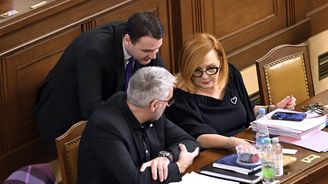 Sněmovna pustila dál základní údaje Babišova rozpočtu se schodkem 310 miliard Sněmovna pustila dál základní údaje Babišova rozpočtu se schodkem 310 miliard