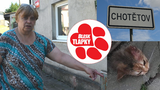Strach v Chotětově: Otrávení psi, rozčtvrcené kočky! Kdo vraždí domácí mazlíčky? 