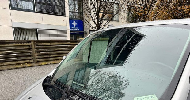 La policía interviene en la sede del ŘSD. La policía interviene en la sede del ŘSD.