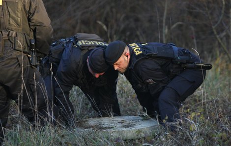 Policisté prohledávají okolí místa, kde ruce ležely.