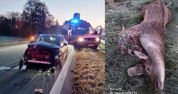 Za hromadnou nehodu tří aut v Ostravě na Rudné může jelen.