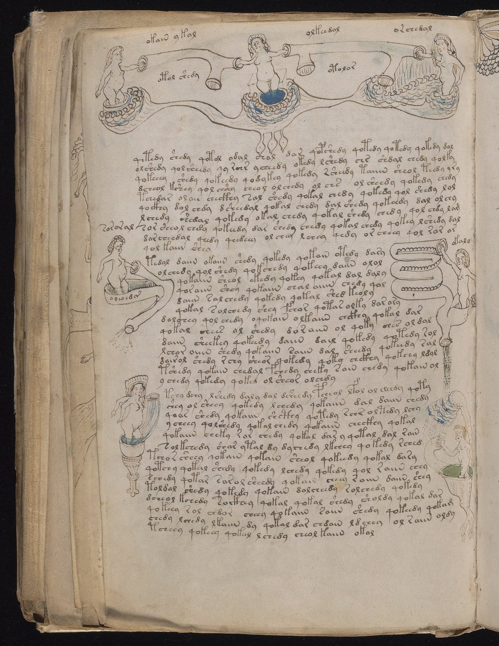 Šifra císaře Rudolfa II.: Nejzáhadnější kniha konečně rozluštěna?