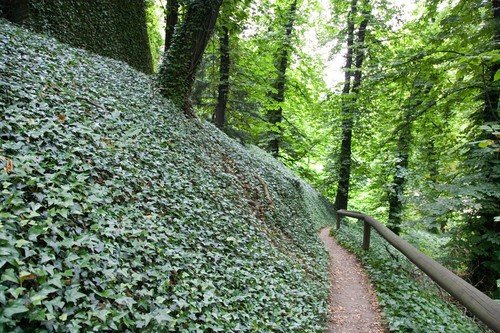 Legenda praví, že Jelením příkopu u Pražské hradu pobíhaly šelmy, Rudolf II. tu choval i lvy.