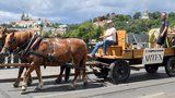 Netradiční podívaná v centru Prahy: 1,5tunový kolos převezli koně, socha mířila na výstavu v Rudolfinu