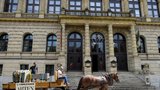 Díla přivezli koně, umělci přijeli na kolech: Unikátní výstava v Rudolfinu vznikla za minimálního užití energií