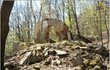 Namísto honosné hvězdárny našel Vít Musílek v lese na Ústecku rozpadlou ruinu.