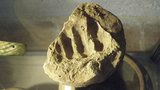Archeologům „podal“ ruku středověk: V hlíně našli otisk starý stovky let