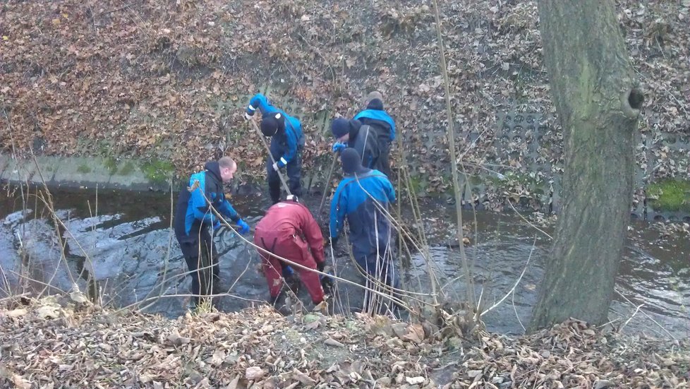 Policejní potápěči prohledávali potok. Žádné další části lidského těla ale nenašli.