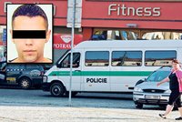 Další Rom v Rumburku zadržen, k útoku se přihlásil sám