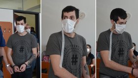 Rumun přistoupil na dohodu o vině a trestu bez projednání případu a za vraždu kojence přijal 15 let
