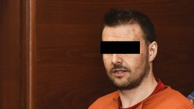 Rumuna nepravomocně odsoudil liberecký soud na 19 let za mřížemi