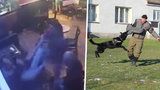 Brutální rvačku v Plzni musel rozhánět služební pes: Rumunský útočník dostal košíkem do obličeje
