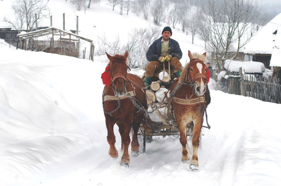 Obyvatelé odlehlých rumunských vesniček žijí jako jejich předci. K těžké práci používají hospodářská zvířata namísto moderní techniky.