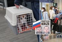 Poslední várka Rusů z ambasády odletěla z Prahy. Do Moskvy míří i děti, psi a hlodavec