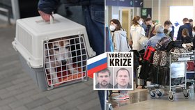 Poslední várka Rusů z ambasády odlétá z Prahy. Do Moskvy zamíří i děti, pes a hlodavec