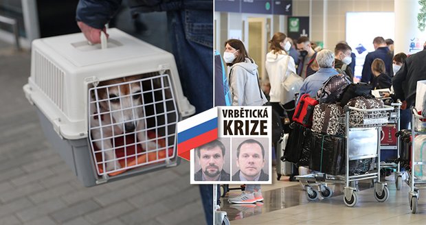 Poslední várka Rusů z ambasády odletěla z Prahy. Do Moskvy míří i děti, psi a hlodavec