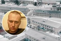 Tady vězní Navalného: Hladovka a pekelné podmínky v trestaneckém „koncentráku“