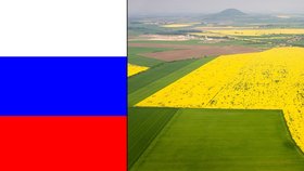 Česko čeká zákaz vývozu rostlinných výrobků do Ruska.