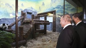 Ruský prezident Putin v Moskvě hostil čínského prezidenta Si Ťin-pchinga. Zašli se podívat i na pandy.
