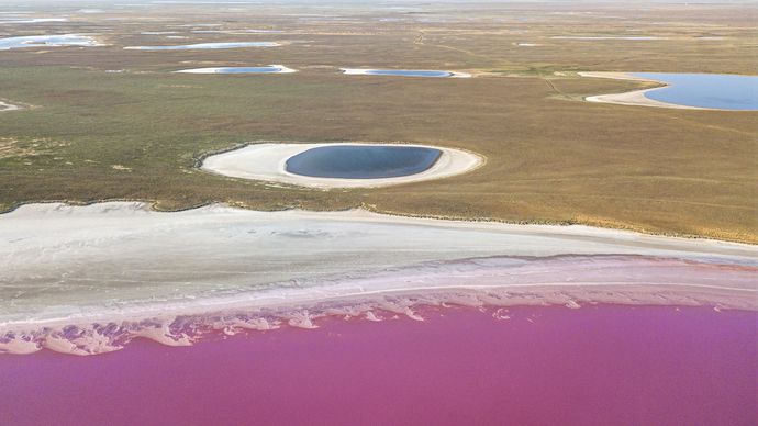Růžové jezero v kalmyckých stepích