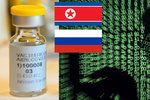 Rusko a KLDR podnikají další hackerské útoky, snaží se získat vakcínu proti koronaviru