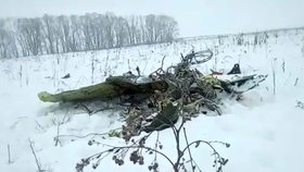 Trosky ruského letadla An-148, které se v neděli 11. února zřítilo krátce po startu z letiště Domodědovo, při havárii zahynulo všech 71 lidí na palubě