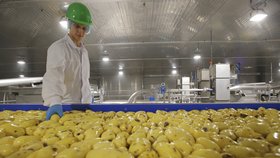 Sankce přiměly McDonald&#39;s dělat hranolky z ruských brambor