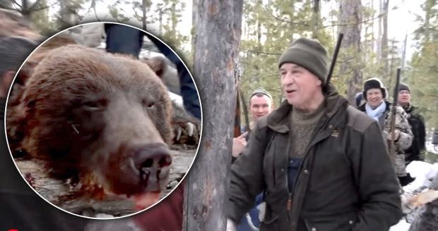 Ruský politik zastřelil bezbranného spícího medvěda. Oslavil tak své narozeniny