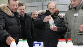 Rusové v reakci na západní sankce uvalili embargo i na mléko, čeští výrobci a exportéři strádají