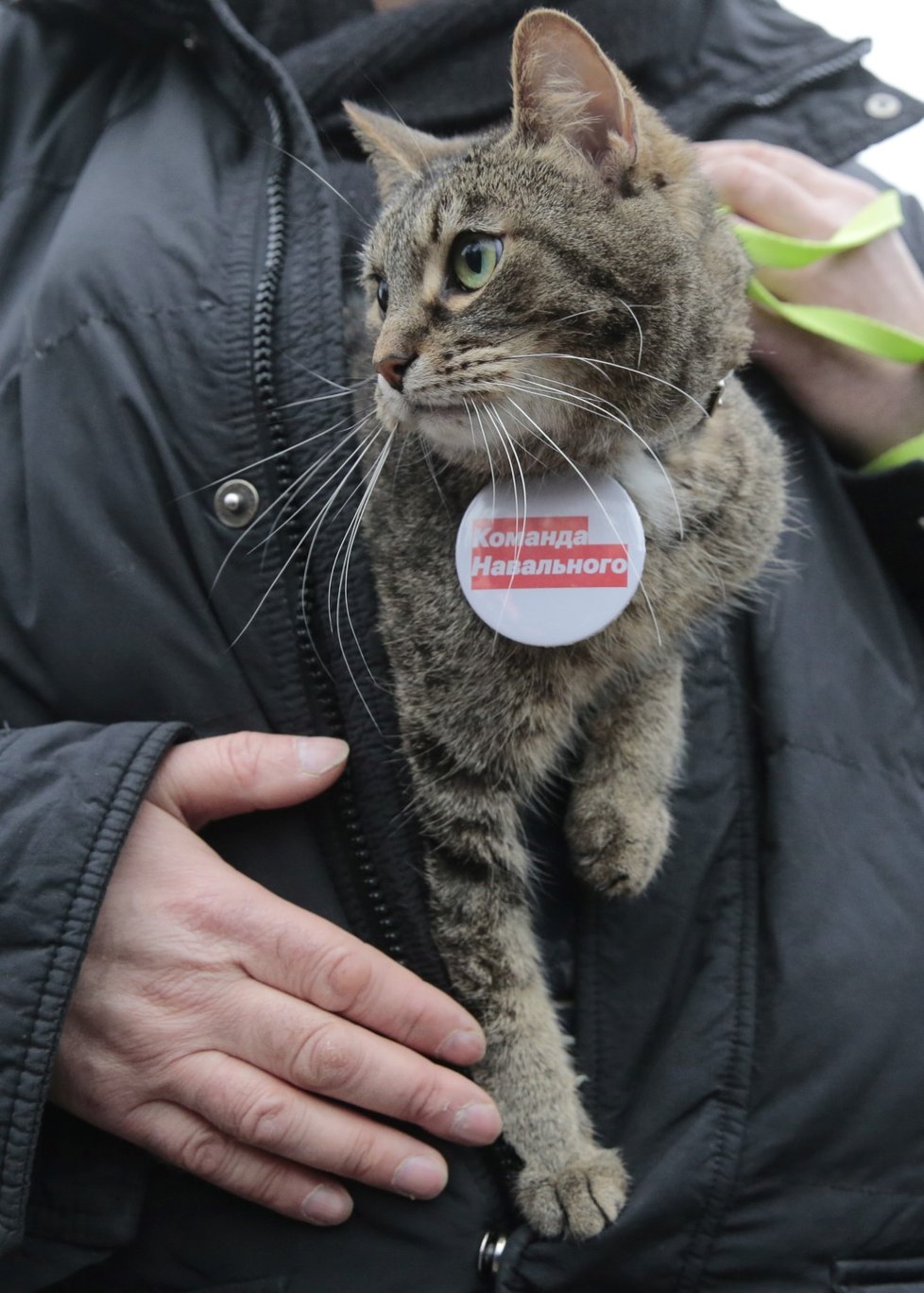 Příznivci opozičníka Navalného protestovali proti prezidentovi Putinovi ve velkých ruských městech.