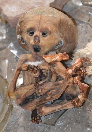 V ruské pitevně byly nalezeny lidské ostatky i mumifikované děti