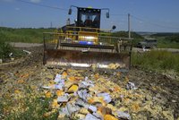 Rusko ničí evropské potraviny kvůli sankcím. Dejte je raději chudým, volají Rusové