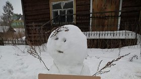 Proti Putinovi protestují už i sněhuláci, demonstrace skončila nenásilně