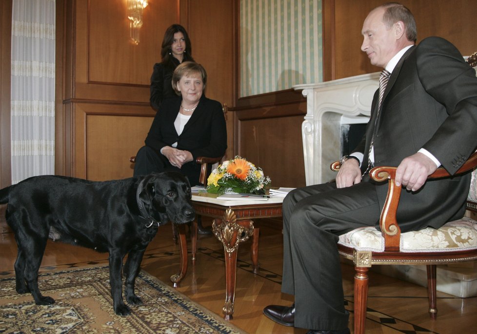 Prezident Vladimir Putin se svým psem Konim na jednání s kancléřkou Angelou Merkelovou.