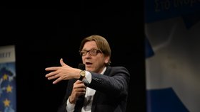 Bývalý belgický premiér a nyní poslanec Evropského parlamentu Guy Verhofstadt