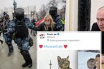 Rusko blokuje západní sociální sítě, samo na Twitteru sdílí fotky koček.