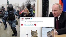 Rusko blokuje západní sociální sítě, samo na Twitteru sdílí fotky koček.