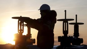 Rusko a další producenti ropy se dohodli na zmrazení těžby.