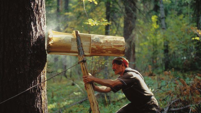 Kolot je obrovské dřevěné kladivo s lanem