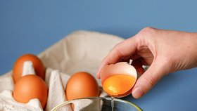 Drůbežárna Volžanin má v Rusku třetí největší produkci vajec.