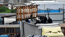Ruské úřady začaly s osvobozováním skoro stovky nelegálně odchycených kosatek a běluh z „velrybího vězení“ na ruském Dálném východě, proti kterému ostře a hlasitě protestovali ochránci životního prostředí.